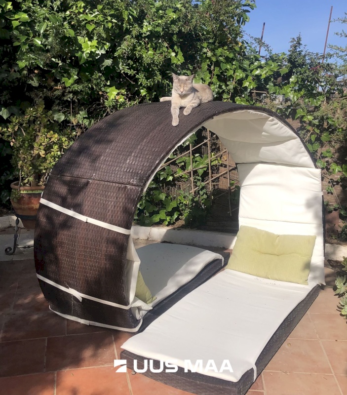 Sevilla, C. Puerto 84