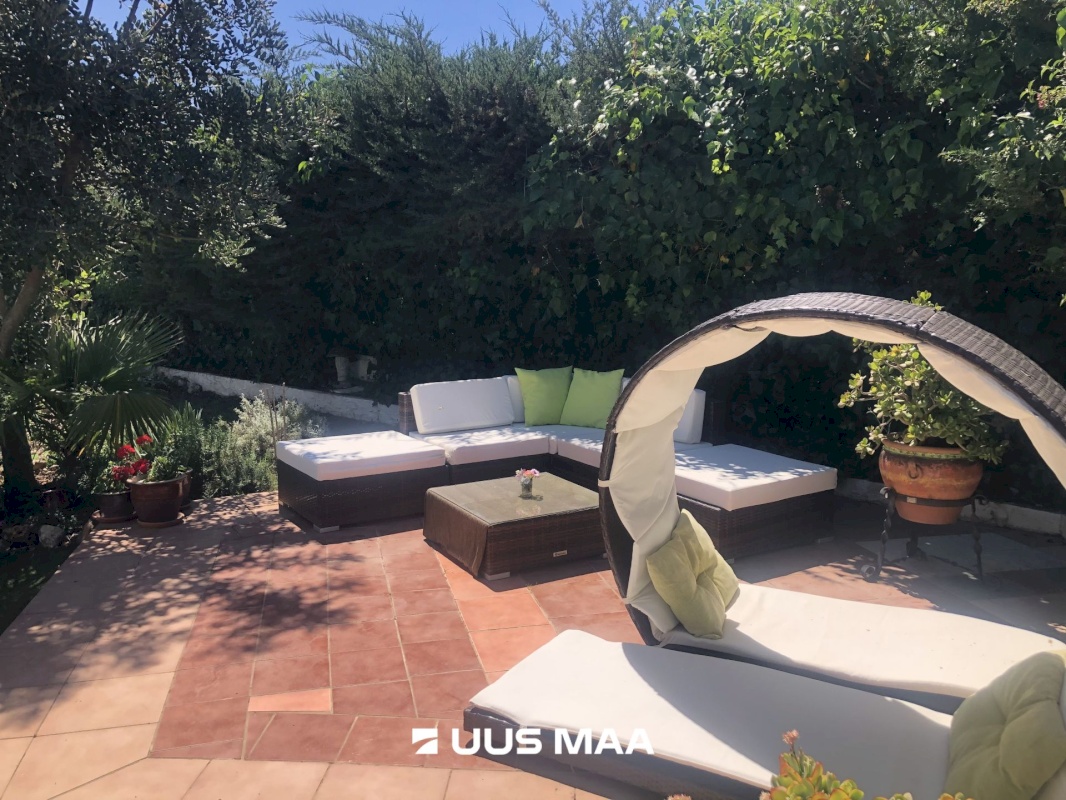 Sevilla, C. Puerto 84