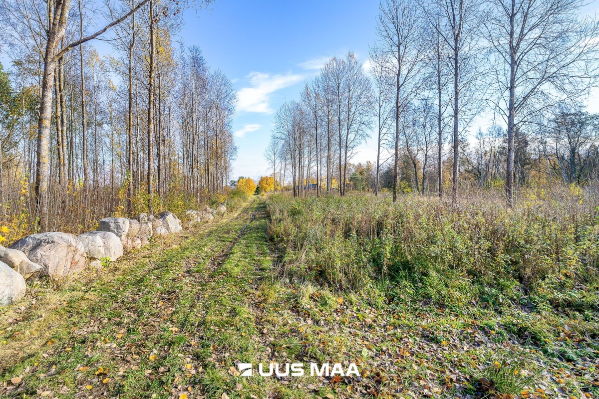 Jõelähtme vald, Ihasalu küla, Ihasalu tee 63