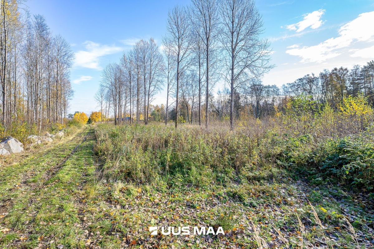 Jõelähtme vald, Ihasalu küla, Ihasalu tee 63