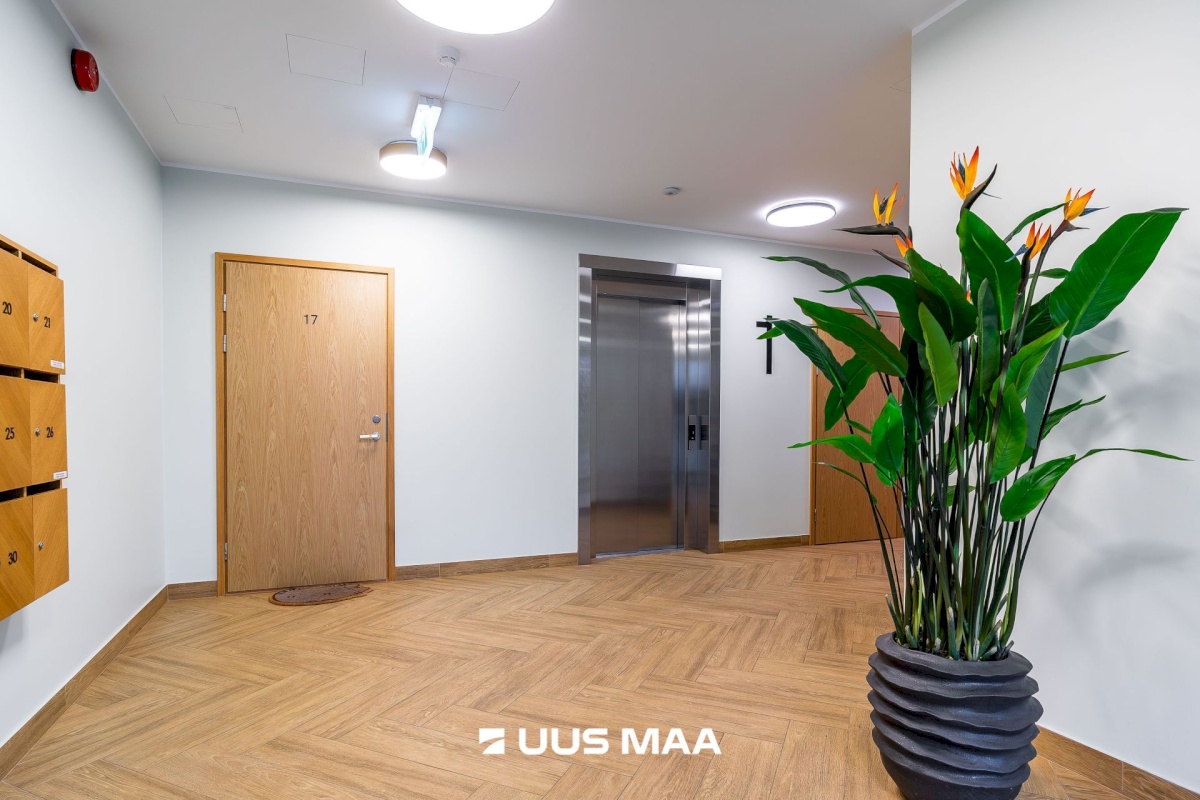 Rae vald, Rae küla, Dolomiidi 2/1