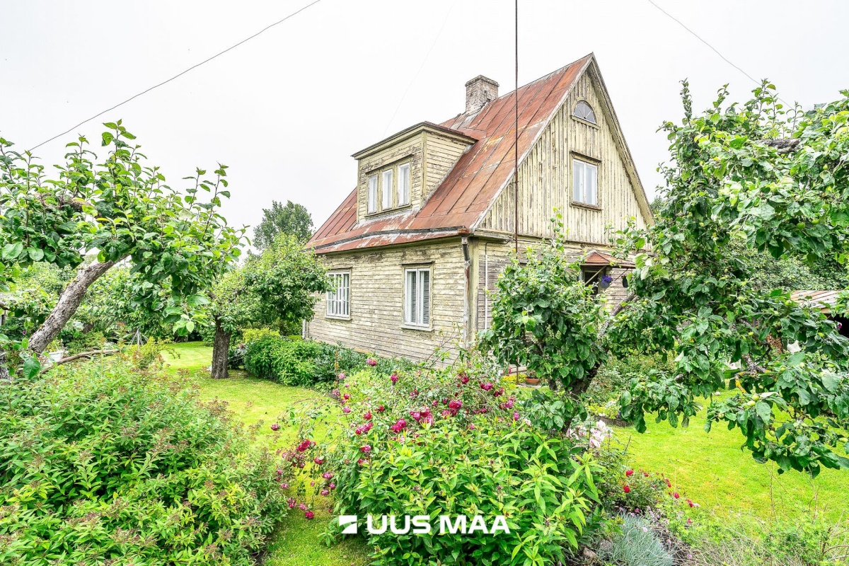 Tallinn, Põhja-Tallinna linnaosa, Neeme 26