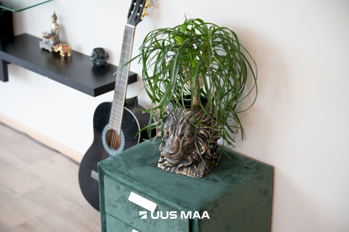 Tallinn, Lasnamäe linnaosa, Mustakivi tee 25