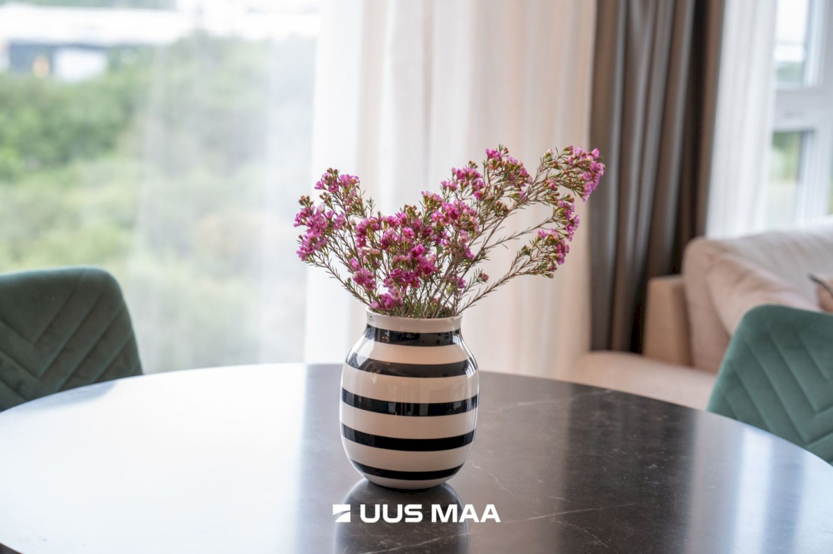 Tallinn, Lasnamäe linnaosa, Mustakivi tee 25