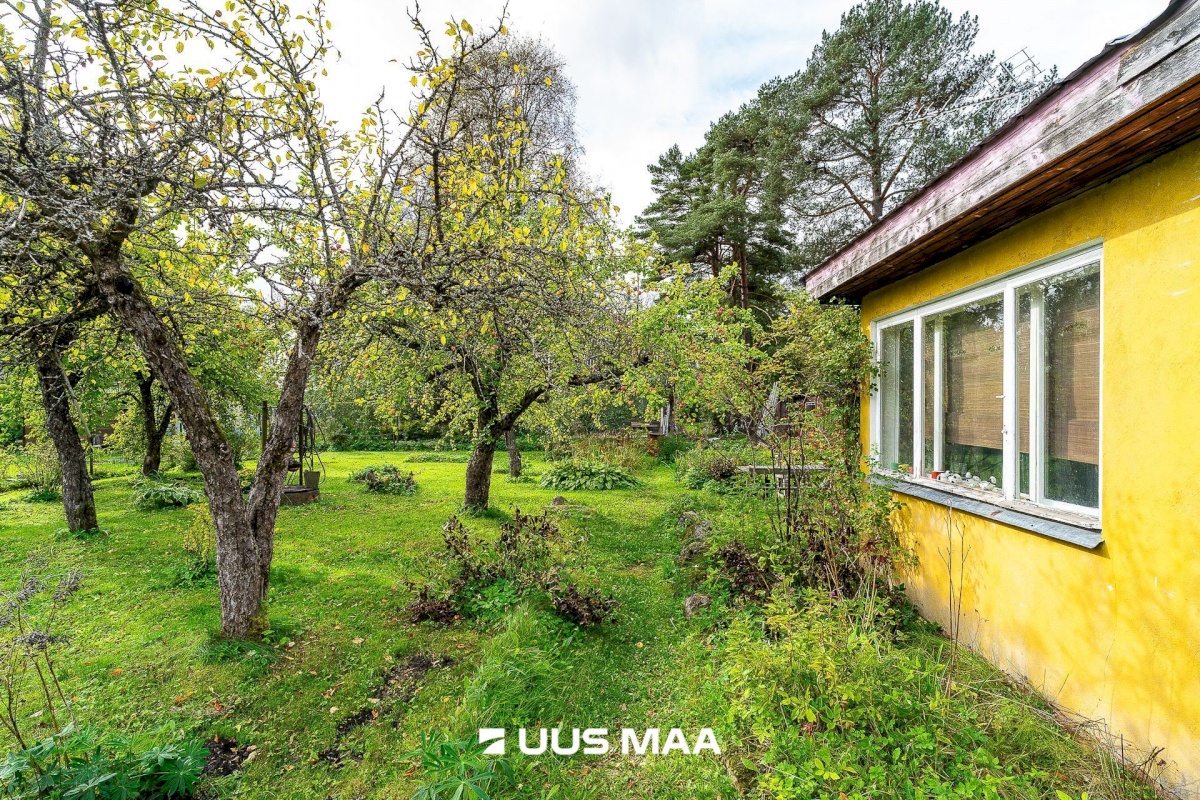 Kiili vald, Luige alevik, Kaasiku tn 8