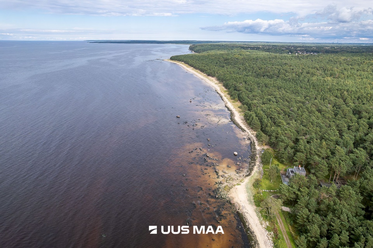 Lääne-Harju vald, Meremõisa küla, Merihobu tee 7