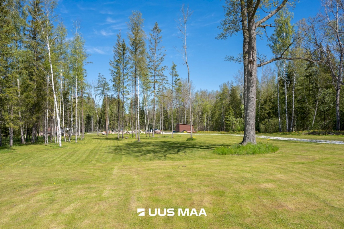 Lääne-Harju vald, Niitvälja küla, Ennuheigi