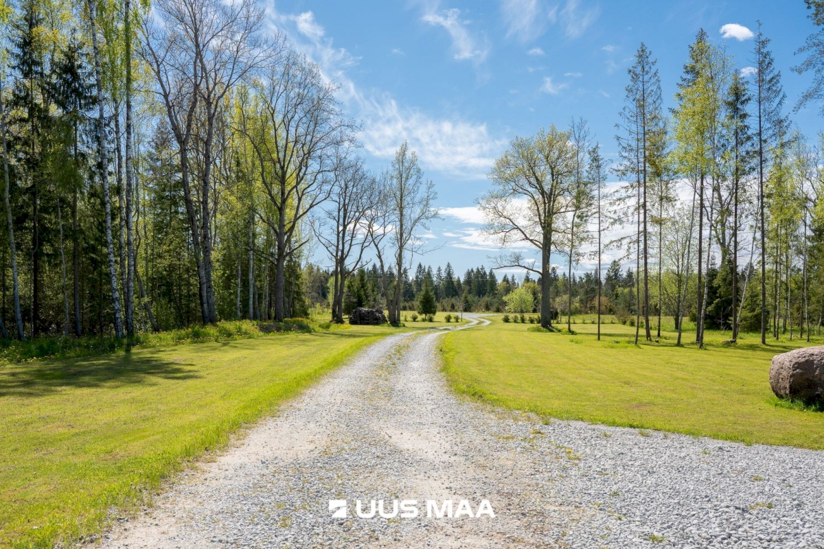 Lääne-Harju vald, Niitvälja küla, Ennuheigi