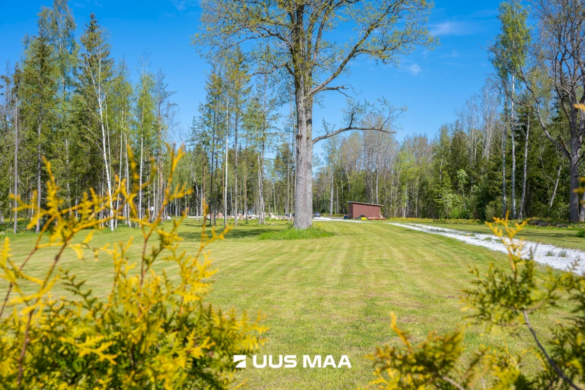 Lääne-Harju vald, Niitvälja küla, Ennuheigi