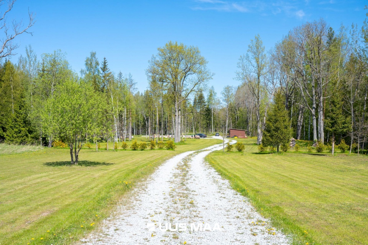 Lääne-Harju vald, Niitvälja küla, Ennuheigi