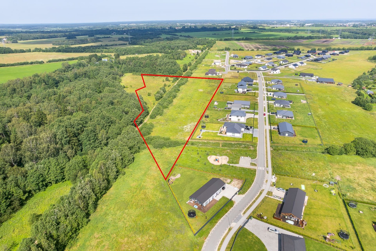 Saue vald, Alliku küla, Vaarikavälu