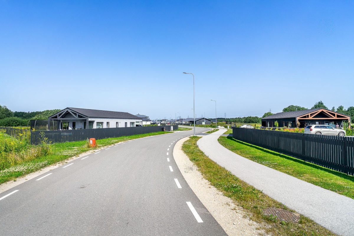 Saue vald, Alliku küla, Vaarikavälu