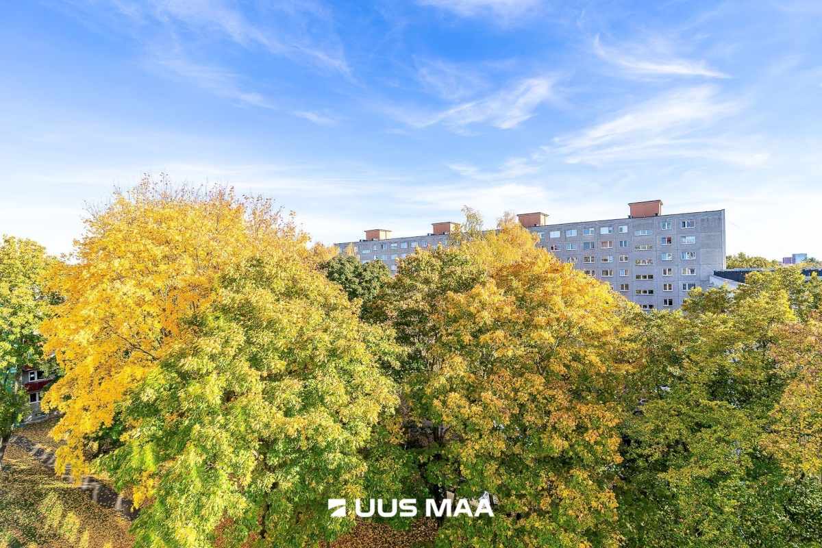 Tallinn, Kristiine linnaosa, Kuldnoka 11