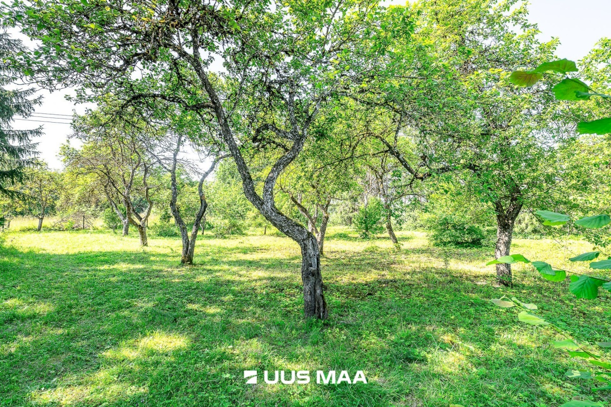 Märjamaa vald, Sipa küla, Uudiku Meierei