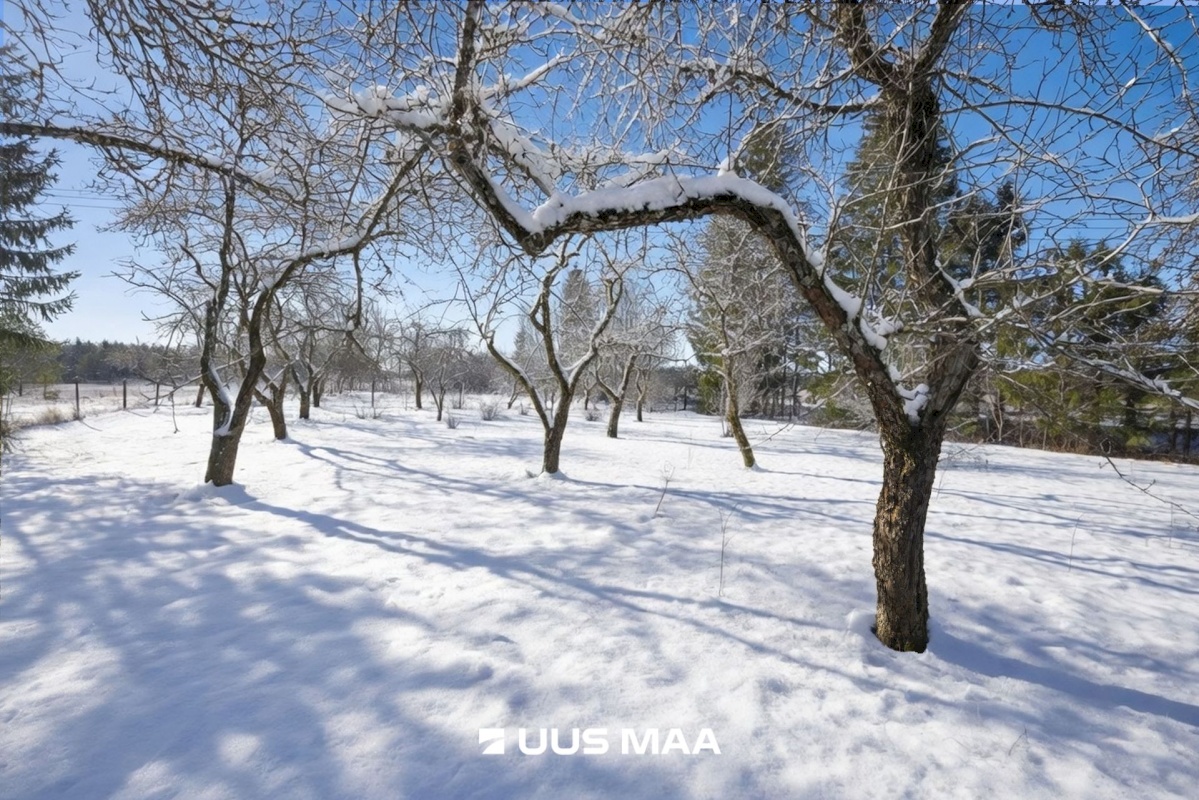Märjamaa vald, Sipa küla, Uudiku Meierei