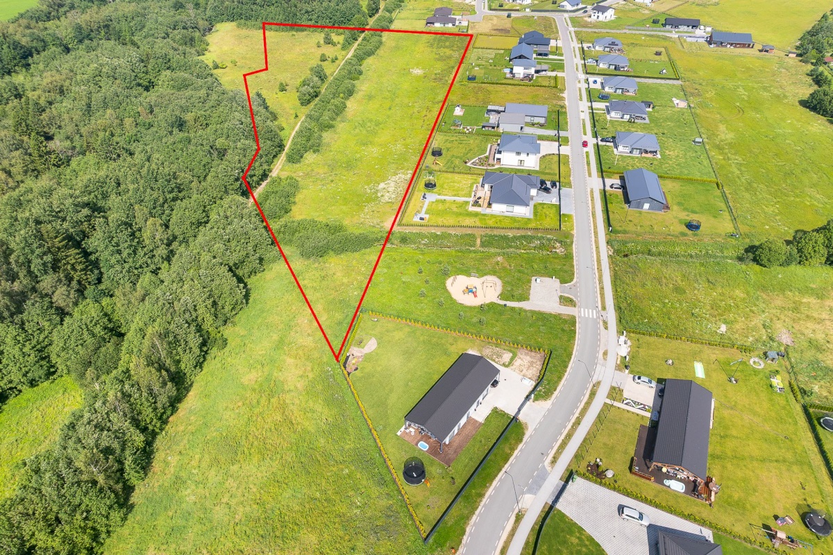 Saue vald, Alliku küla, Vaarikavälu