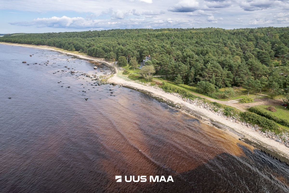 Lääne-Harju vald, Meremõisa küla, Merihobu tee 7