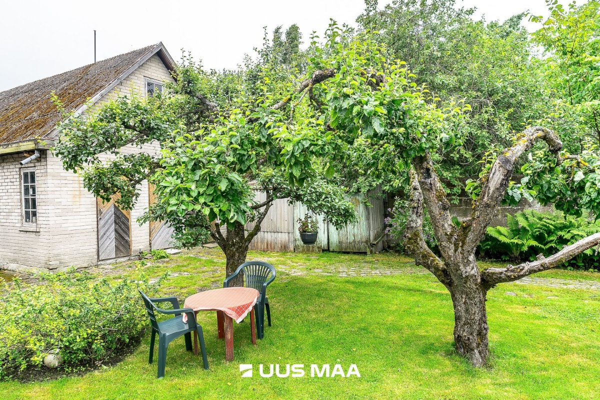 Tallinn, Põhja-Tallinna linnaosa, Neeme 26