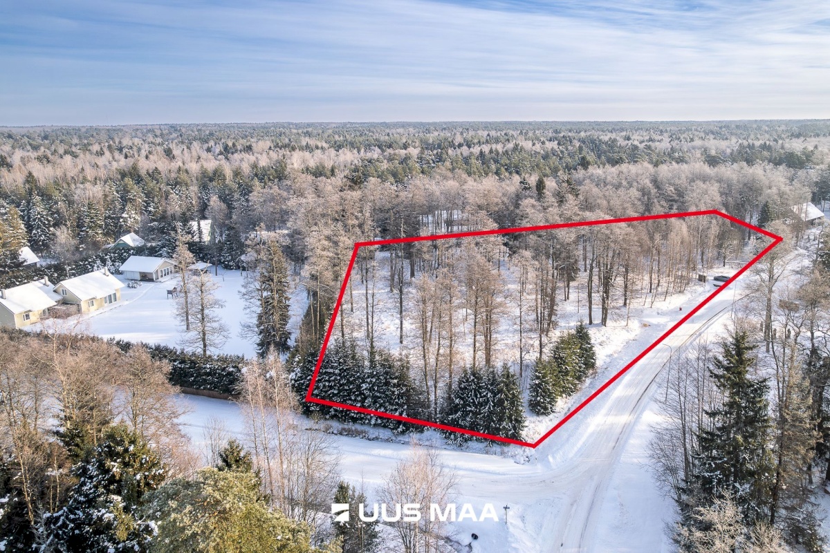 Lääne-Harju vald, Kloogaranna küla, Ilvese tee 2