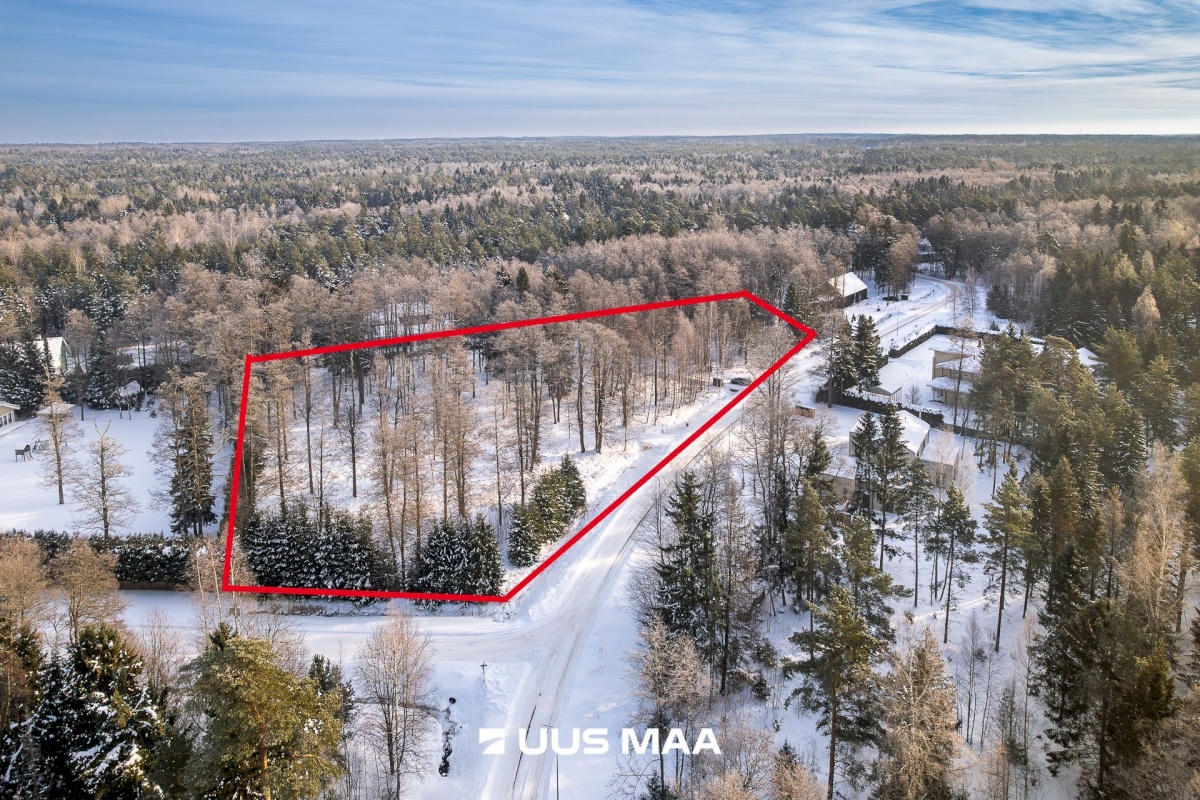 Lääne-Harju vald, Kloogaranna küla, Ilvese tee 2