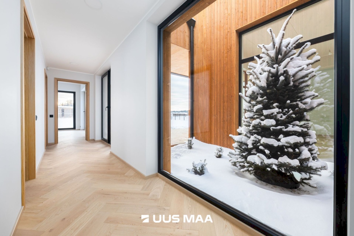 Saku vald, Juuliku küla, Tähe tee 26