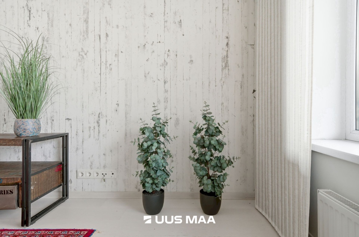 Tallinn, Mustamäe linnaosa, Sipelga 4