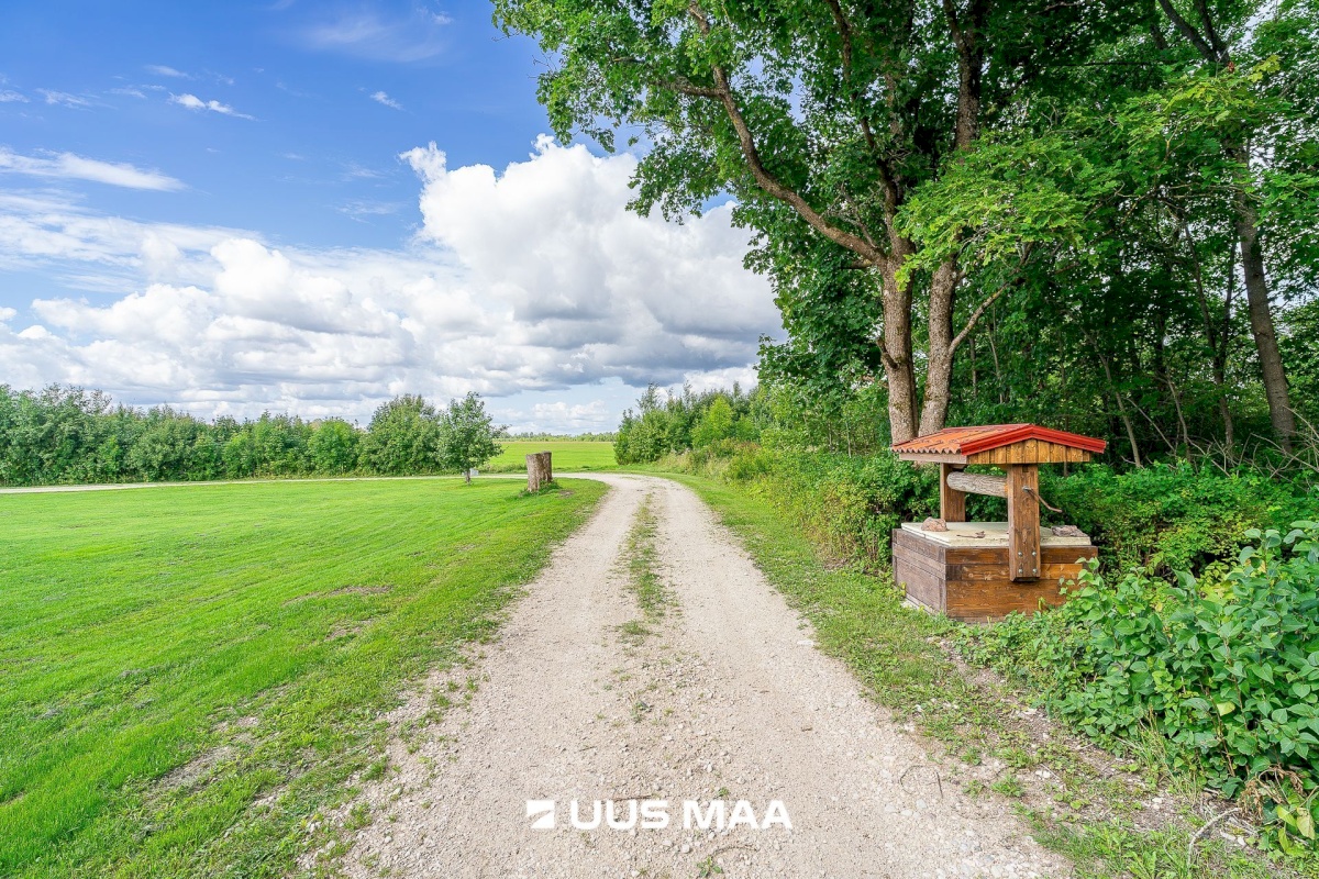 Kohila vald, Pahkla küla, Kalli tee Tiina