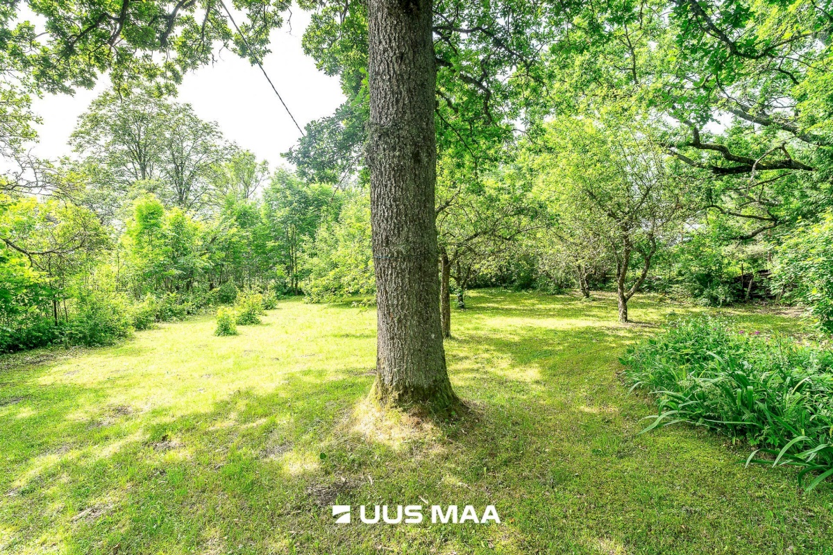 Märjamaa vald, Aruküla