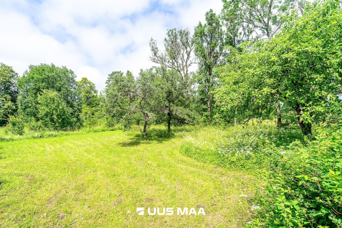 Märjamaa vald, Aruküla