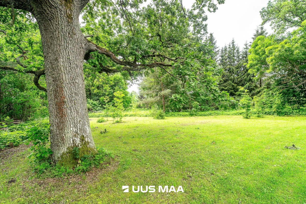 Märjamaa vald, Aruküla