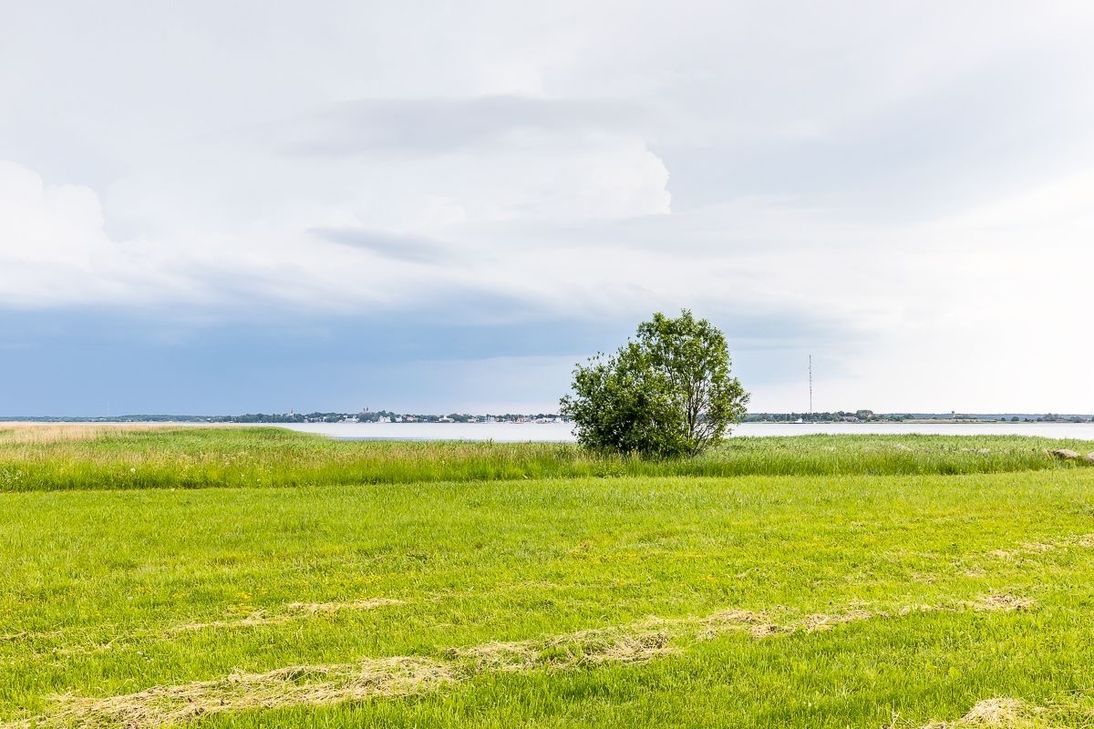 Lääne-Nigula vald, Österby küla, Kutteri