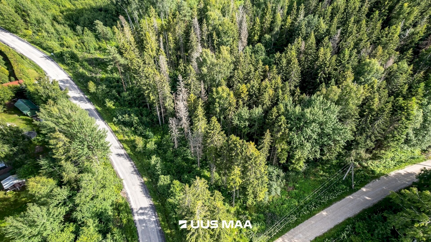 Kohila vald, Vilivere küla