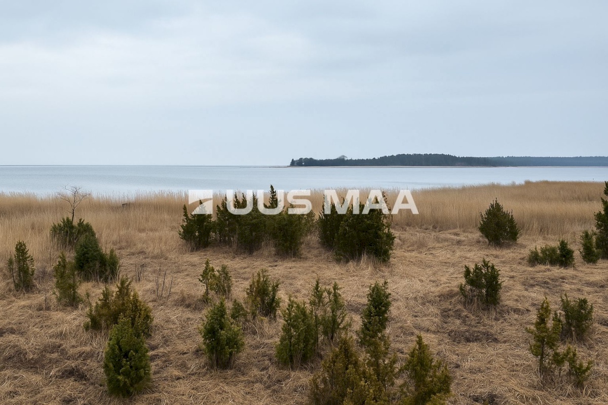 Lääneranna vald, Saulepi küla