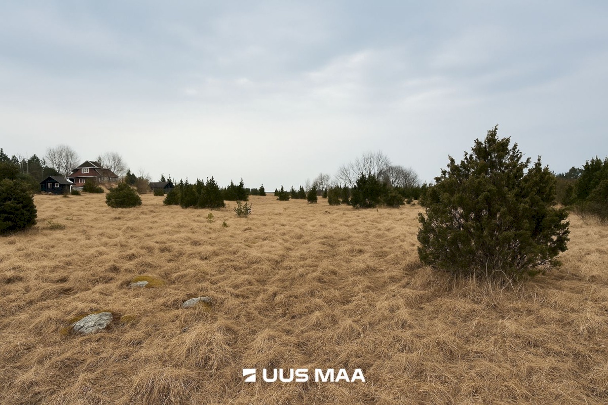 Lääneranna vald, Saulepi küla