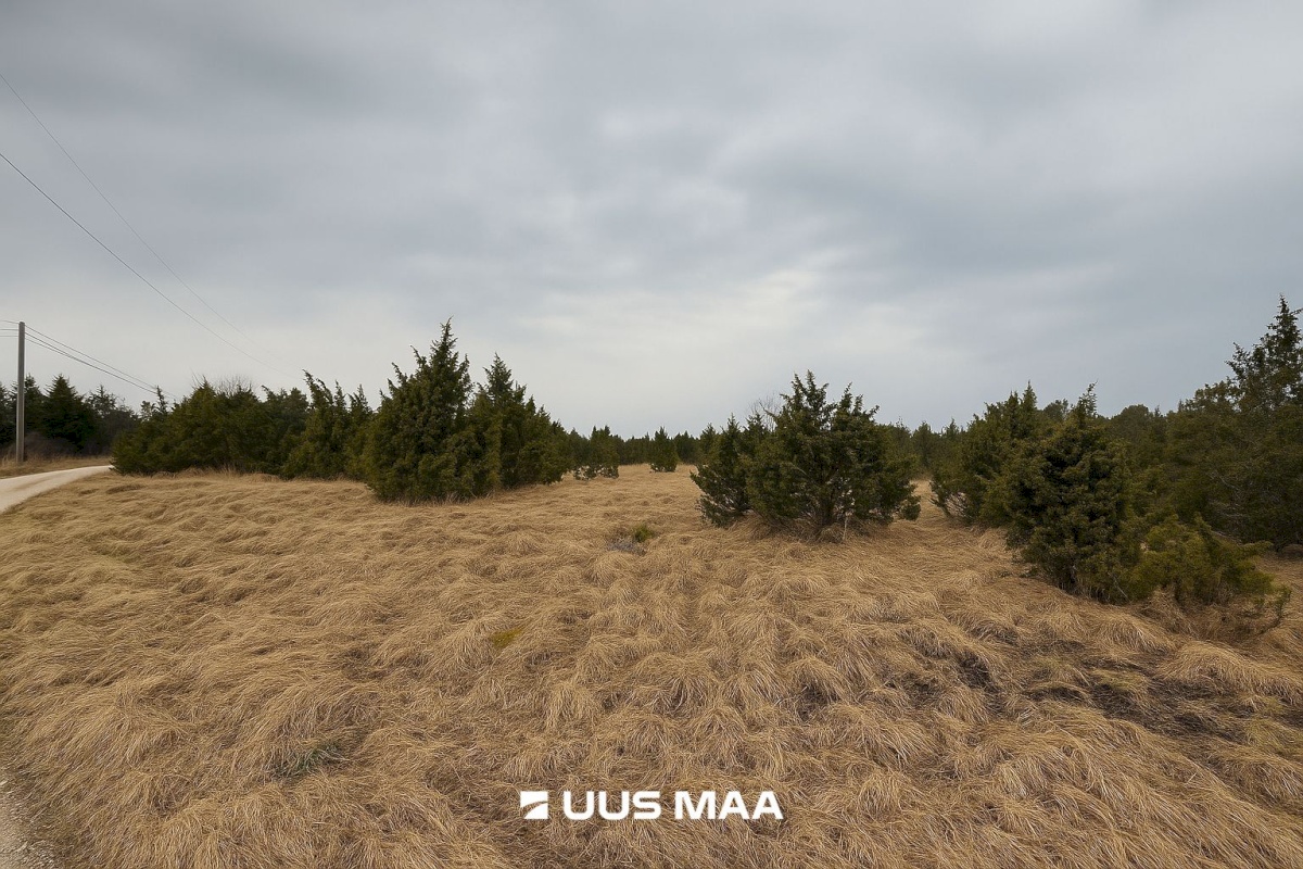 Lääneranna vald, Saulepi küla