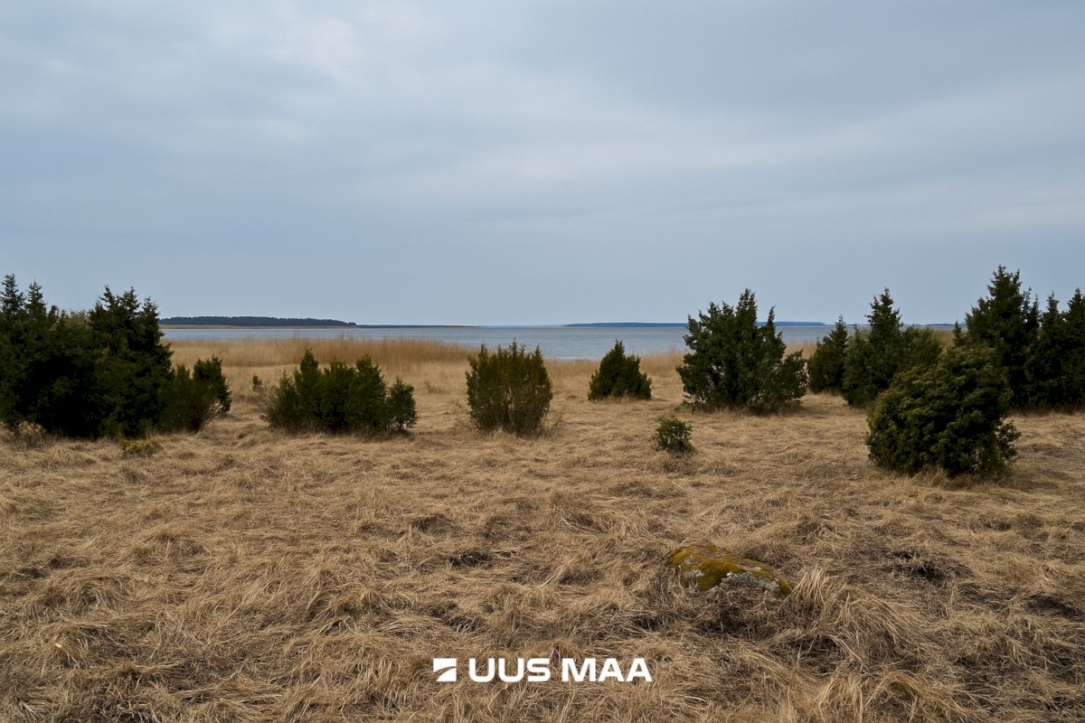 Lääneranna vald, Saulepi küla