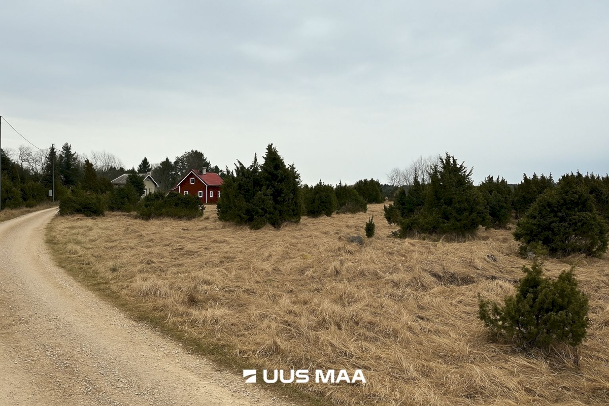 Lääneranna vald, Saulepi küla