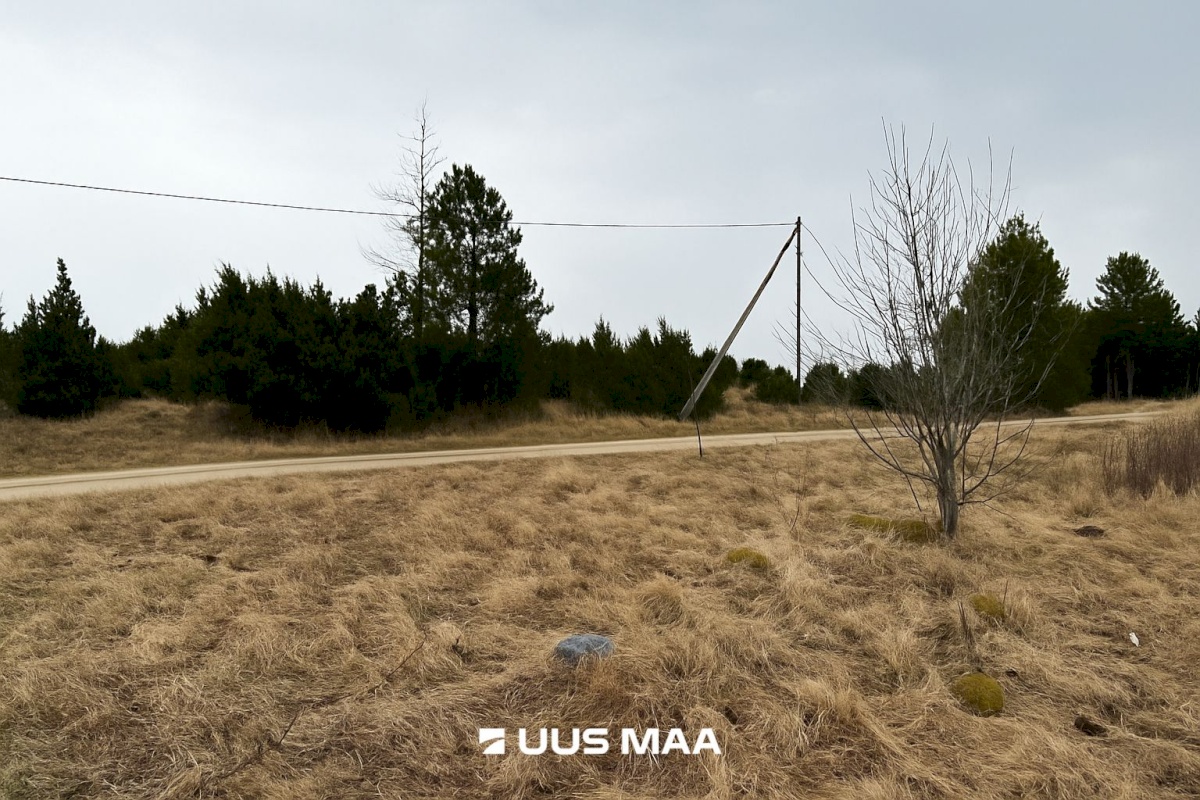 Lääneranna vald, Saulepi küla