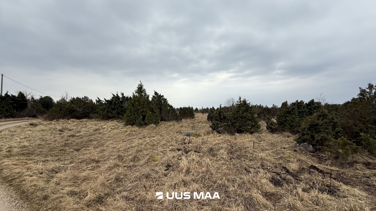 Lääneranna vald, Saulepi küla