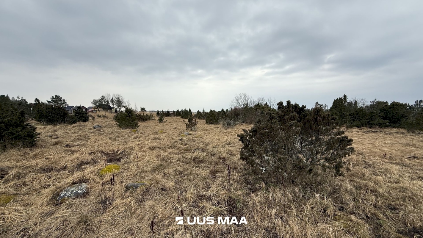 Lääneranna vald, Saulepi küla