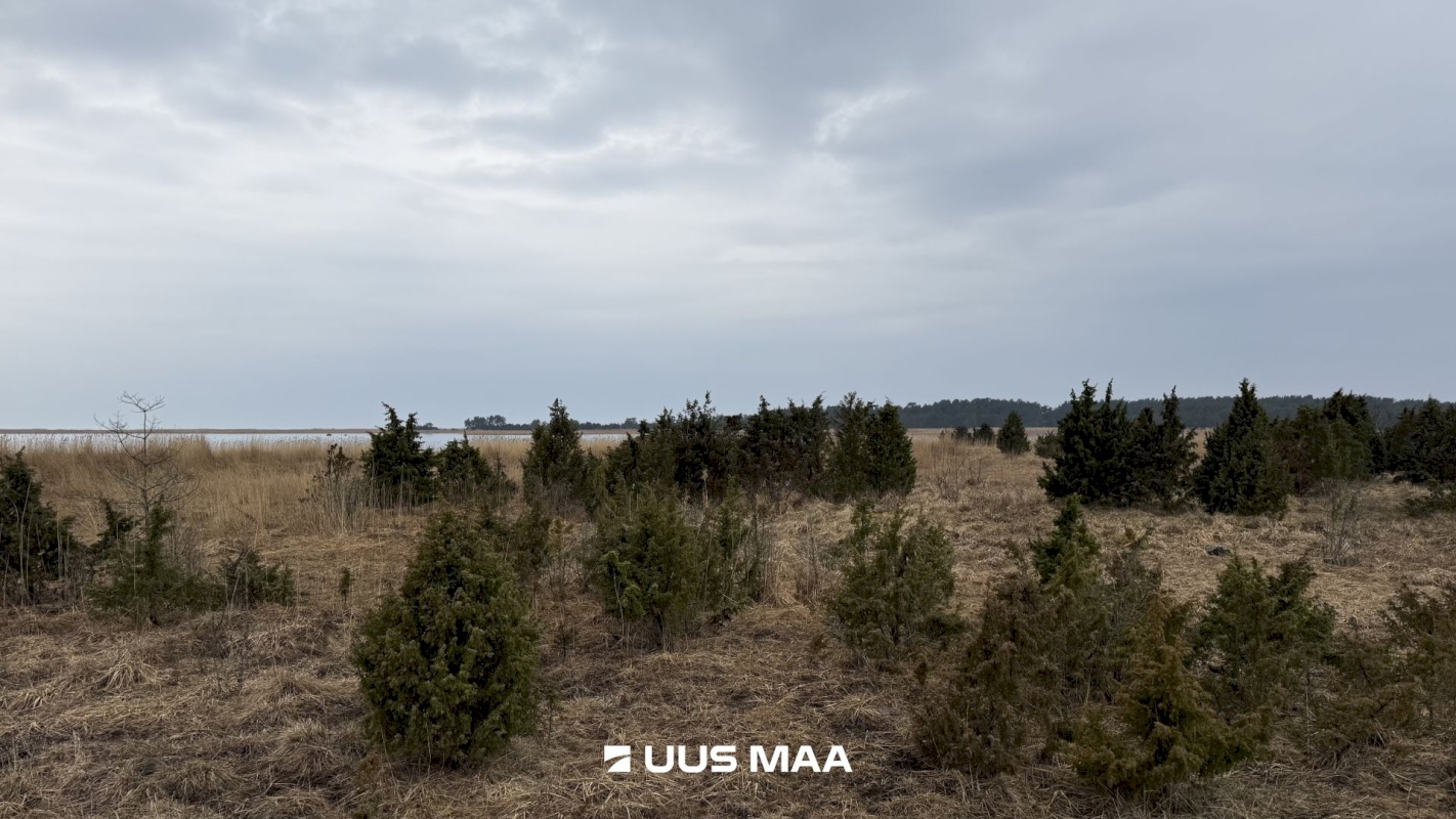 Lääneranna vald, Saulepi küla