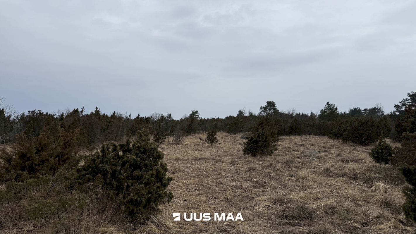 Lääneranna vald, Saulepi küla