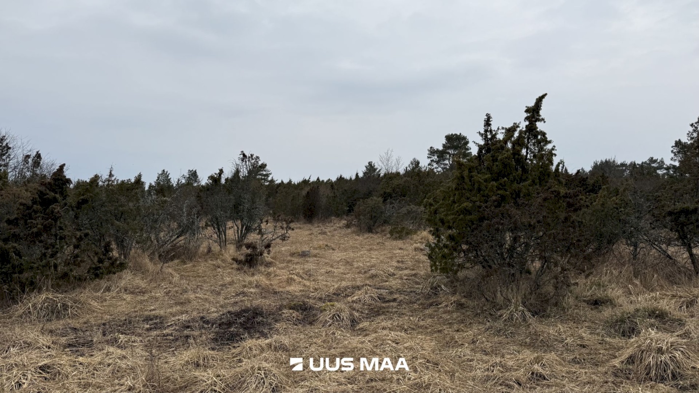 Lääneranna vald, Saulepi küla