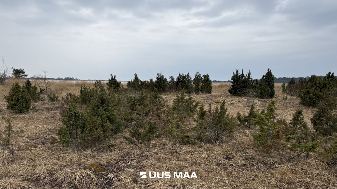 Lääneranna vald, Saulepi küla