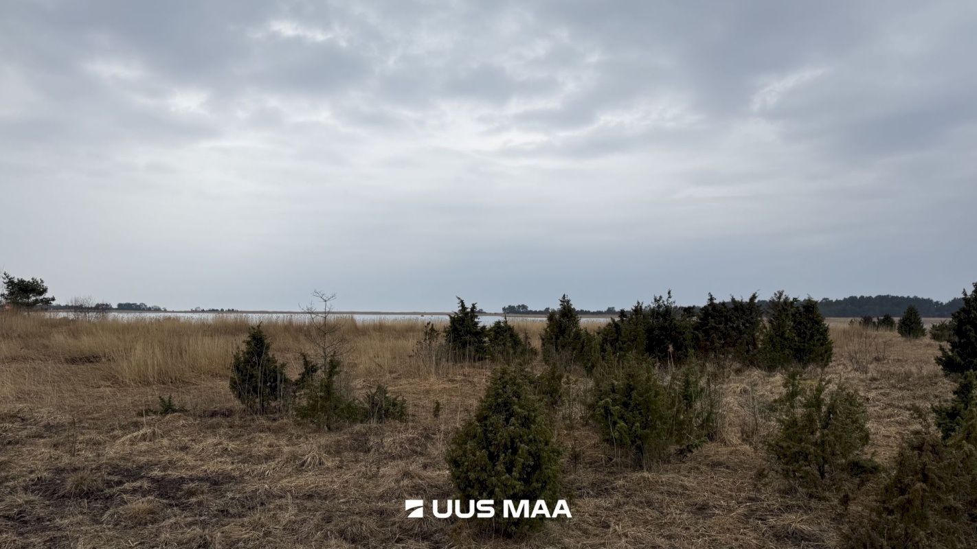 Lääneranna vald, Saulepi küla