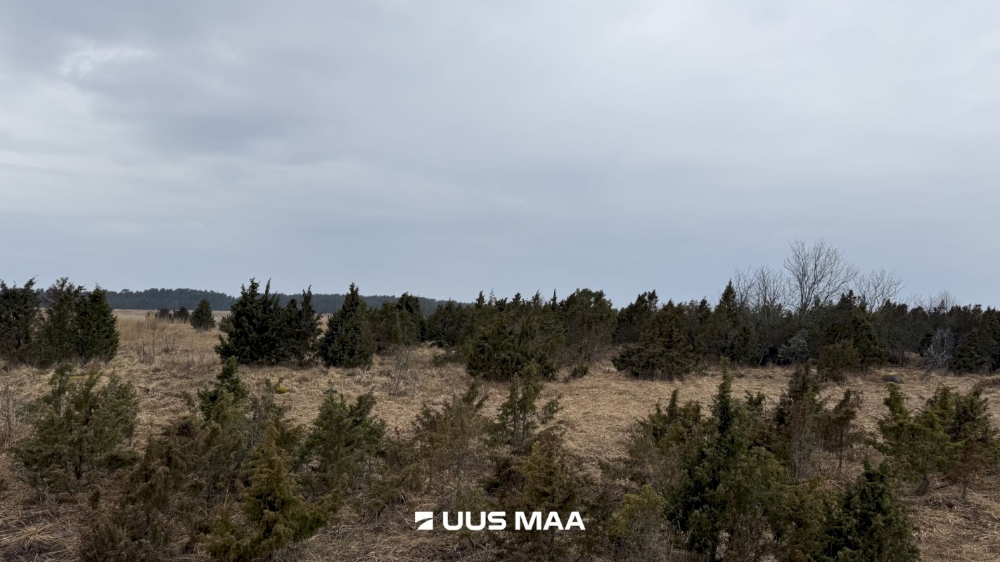 Lääneranna vald, Saulepi küla