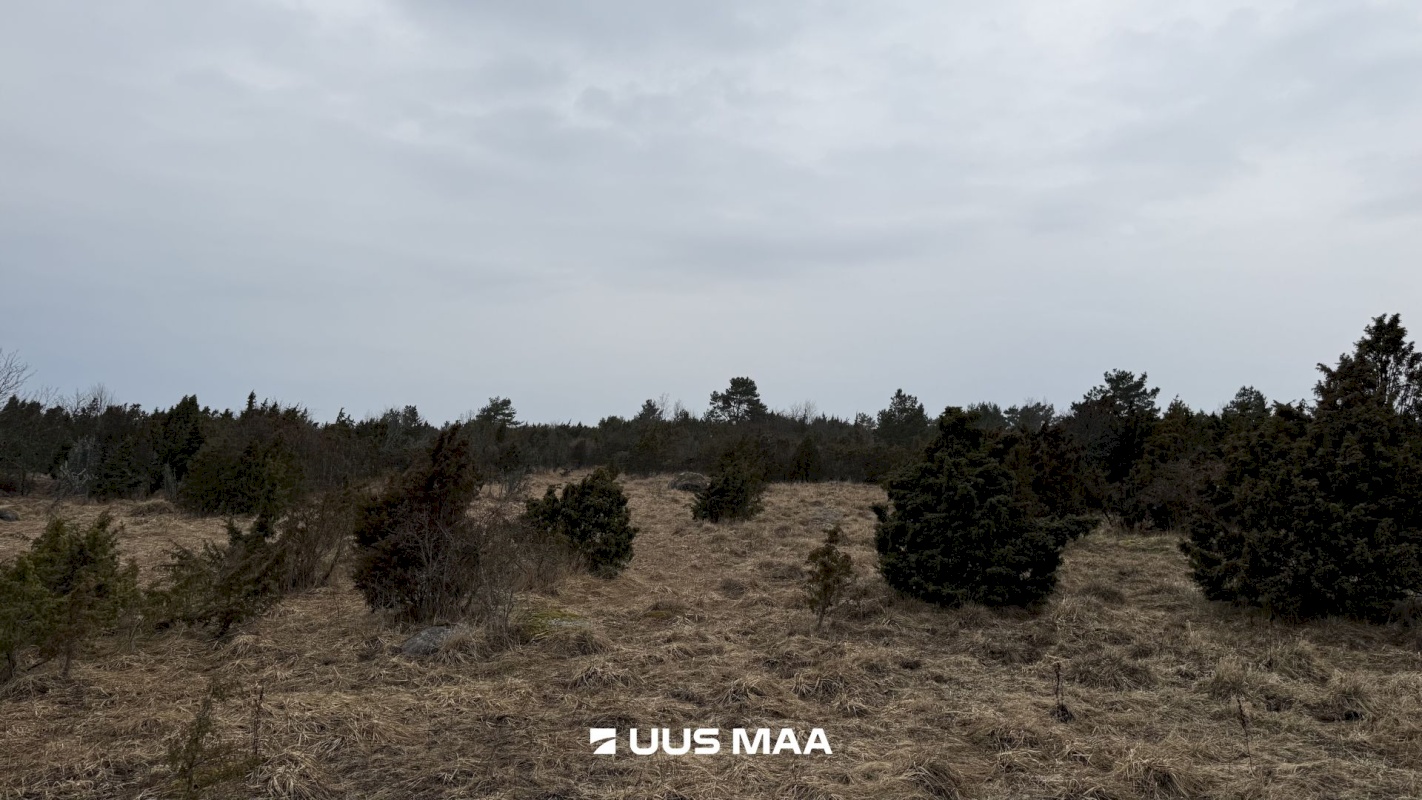 Lääneranna vald, Saulepi küla