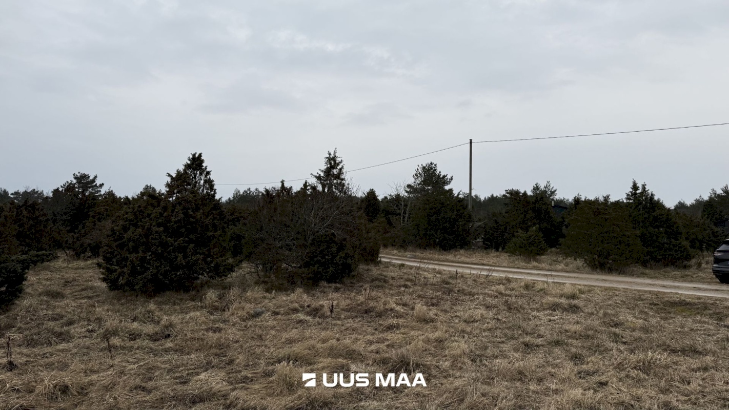 Lääneranna vald, Saulepi küla