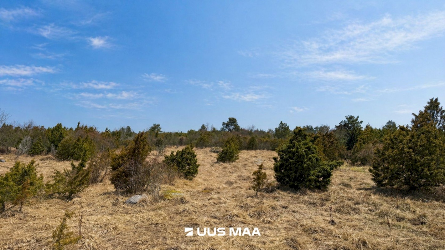 Lääneranna vald, Saulepi küla