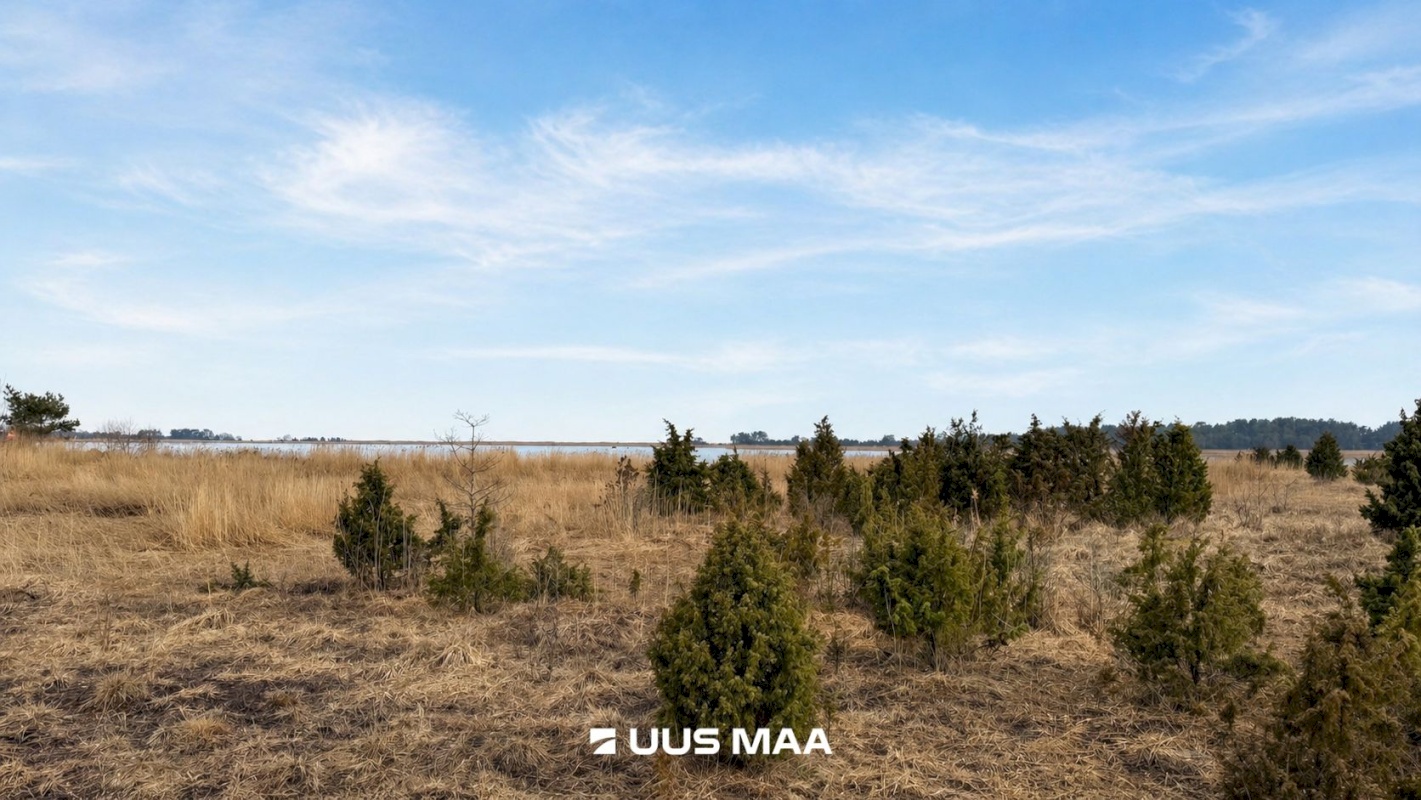 Lääneranna vald, Saulepi küla